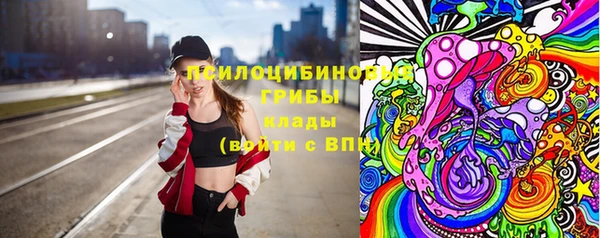 спиды Горнозаводск