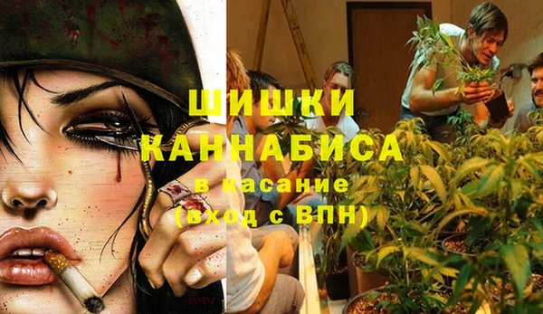 гидра Семёнов