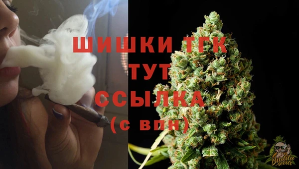 гидропоника Горно-Алтайск