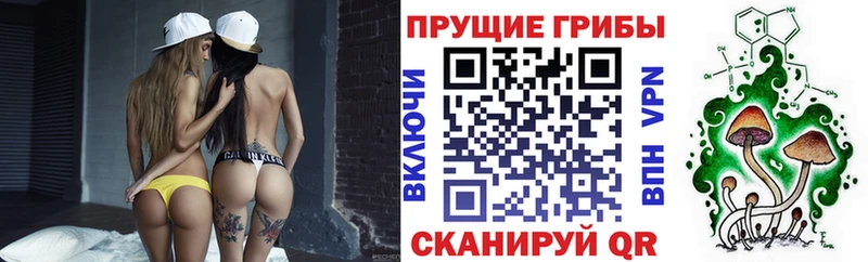 Галлюциногенные грибы мухоморы Брянск